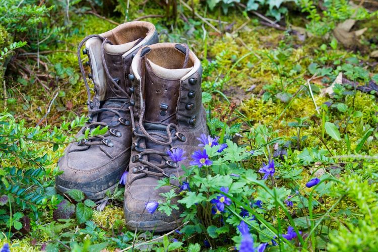 Shoes Hiking Recovery Nature Hike Max Pixel social lou viol gaiola valle stura